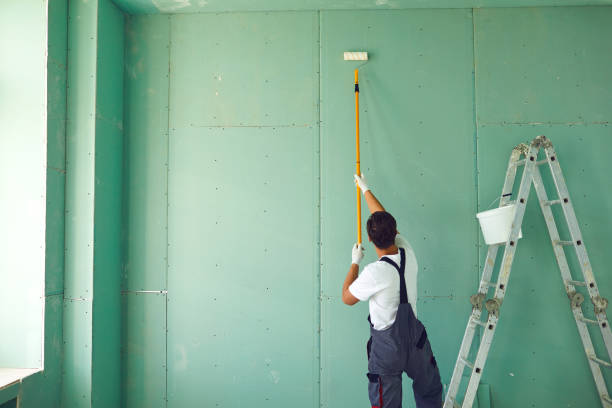 Lula, GA Mold Removal Company